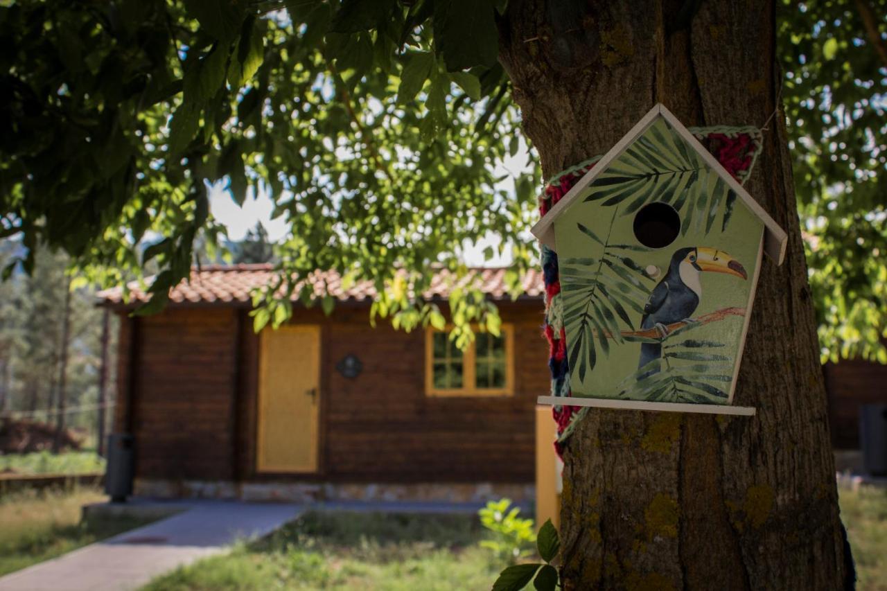 Xisto Camping Janeiro de Baixo Eksteriør bilde